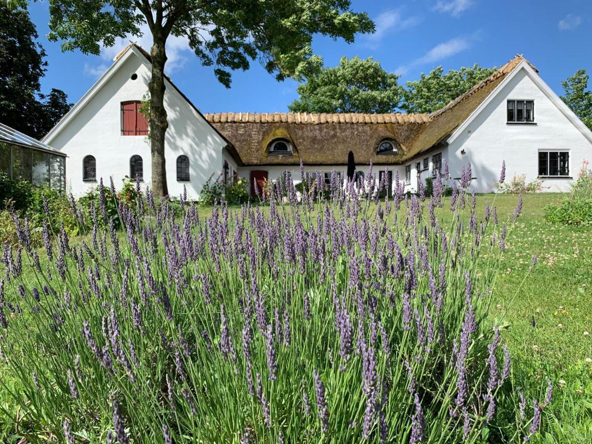 Mariegaardens Gaestehuse Hillerød Buitenkant foto