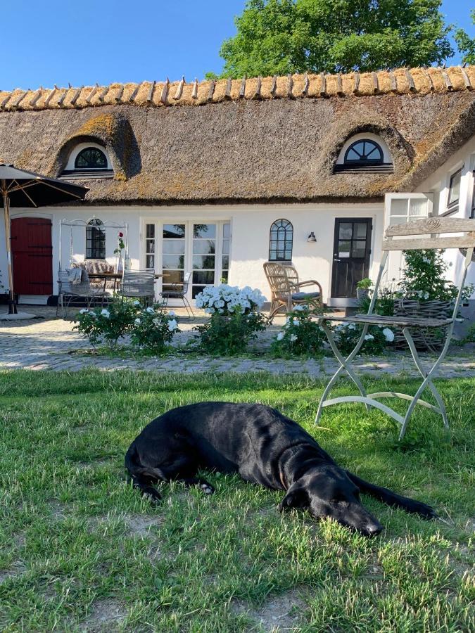 Mariegaardens Gaestehuse Hillerød Buitenkant foto